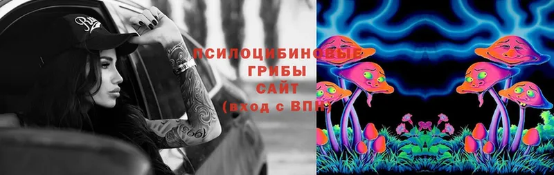 Галлюциногенные грибы Magic Shrooms  kraken зеркало  Шилка 